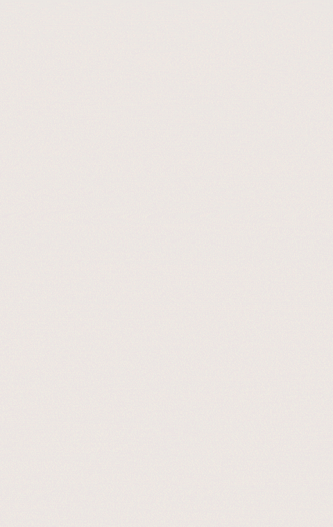 GIF animata che mostra una botola da tetto che si apre e si chiude, con una scala da mezzanino in legno che si estende e si ritrae per l’accesso.