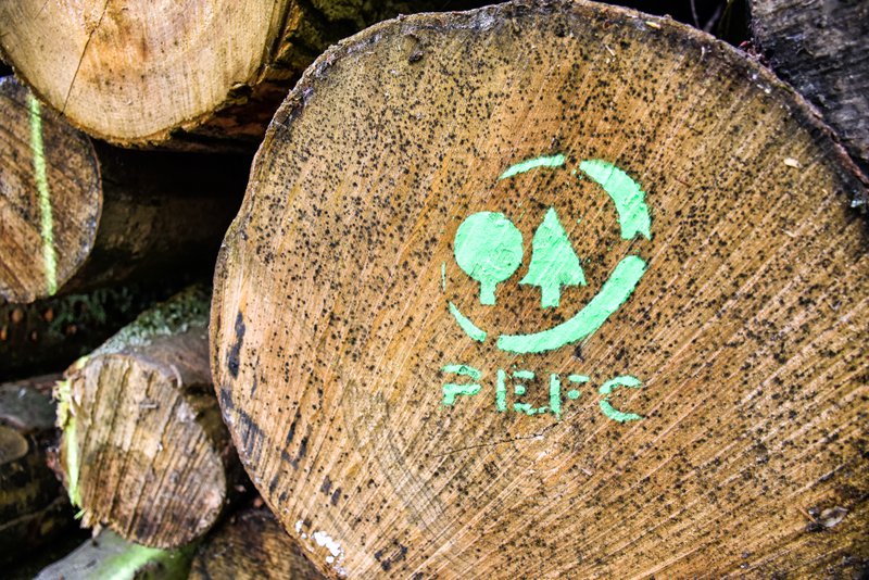 Un primo piano di un tronco di legno con il logo PEFC (Programma per il Riconoscimento della Certificazione Forestale) dipinto in verde, simbolizzando la certificazione della silvicoltura sostenibile.